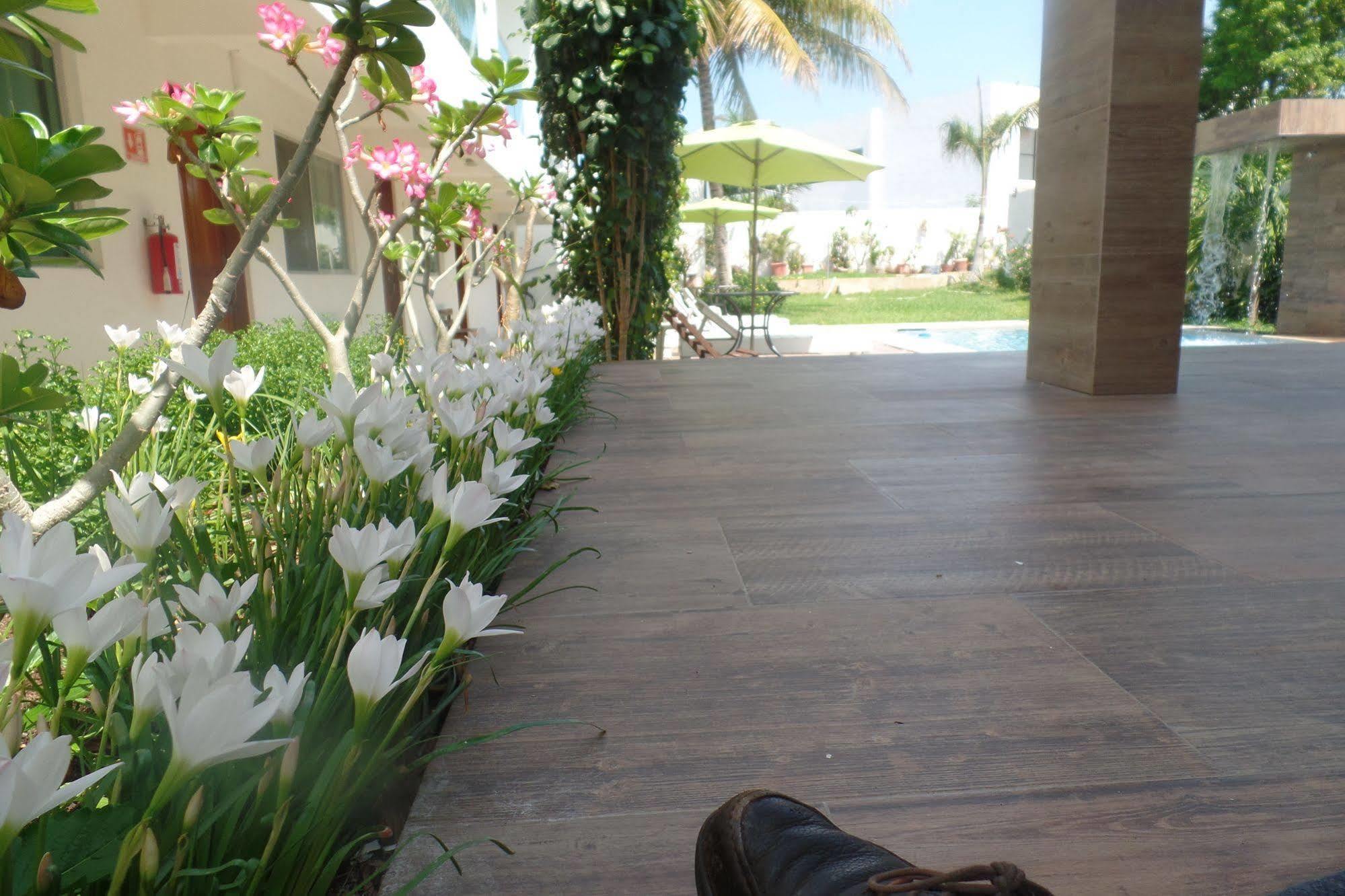 Hotel Villa Escondida Campeche Ngoại thất bức ảnh