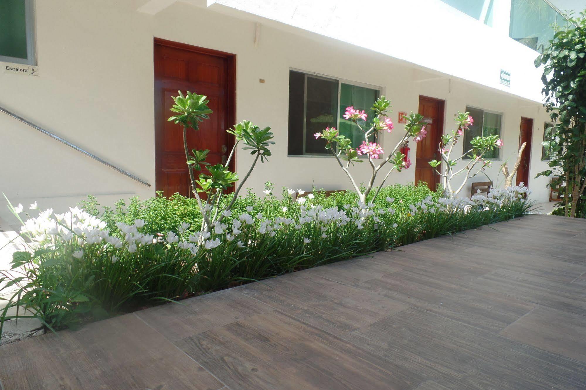 Hotel Villa Escondida Campeche Ngoại thất bức ảnh
